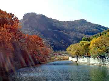 管家婆黑白马报图库，山东大学体育学院